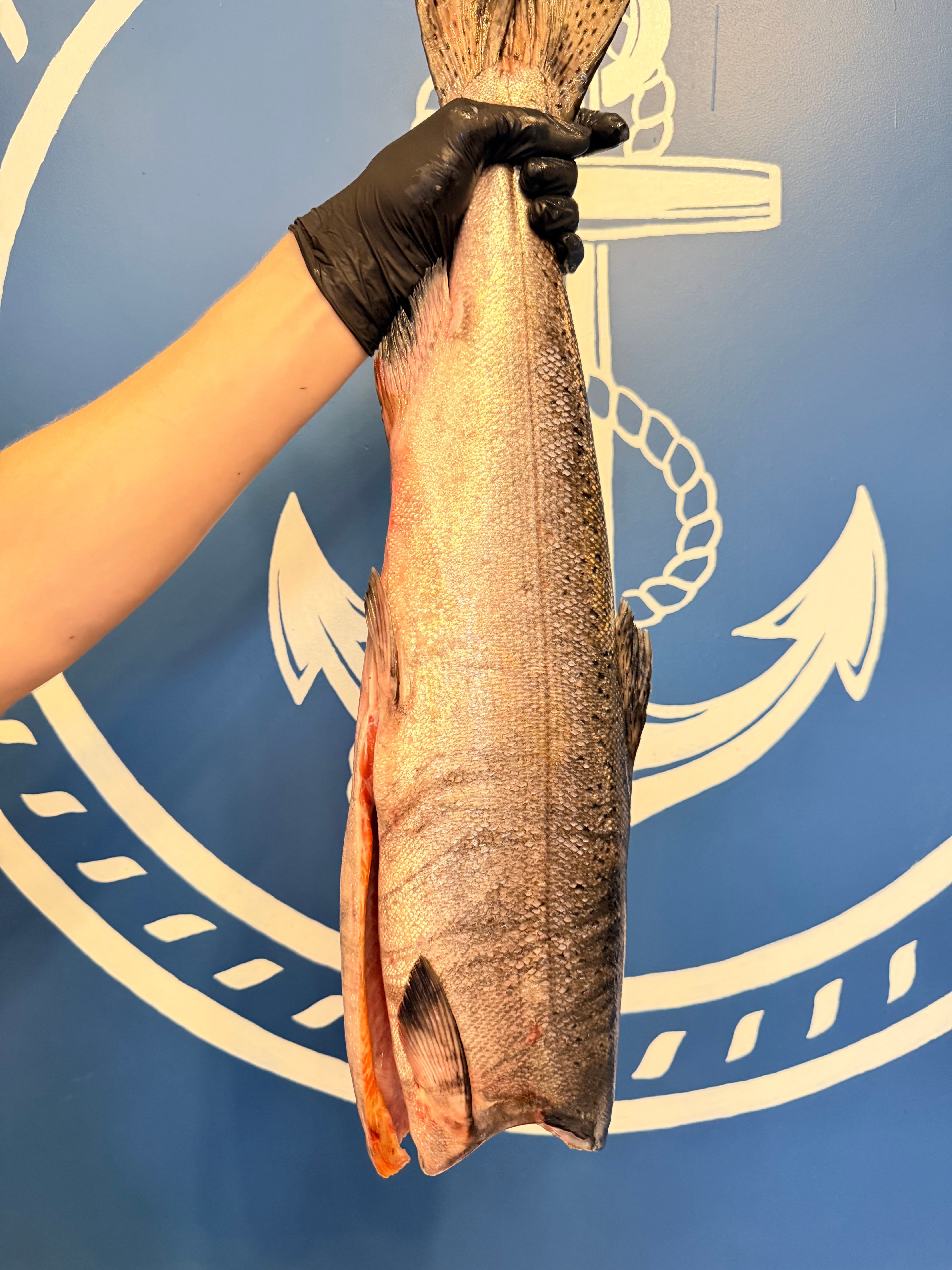 WILD KING (CHINOOK) SALMON