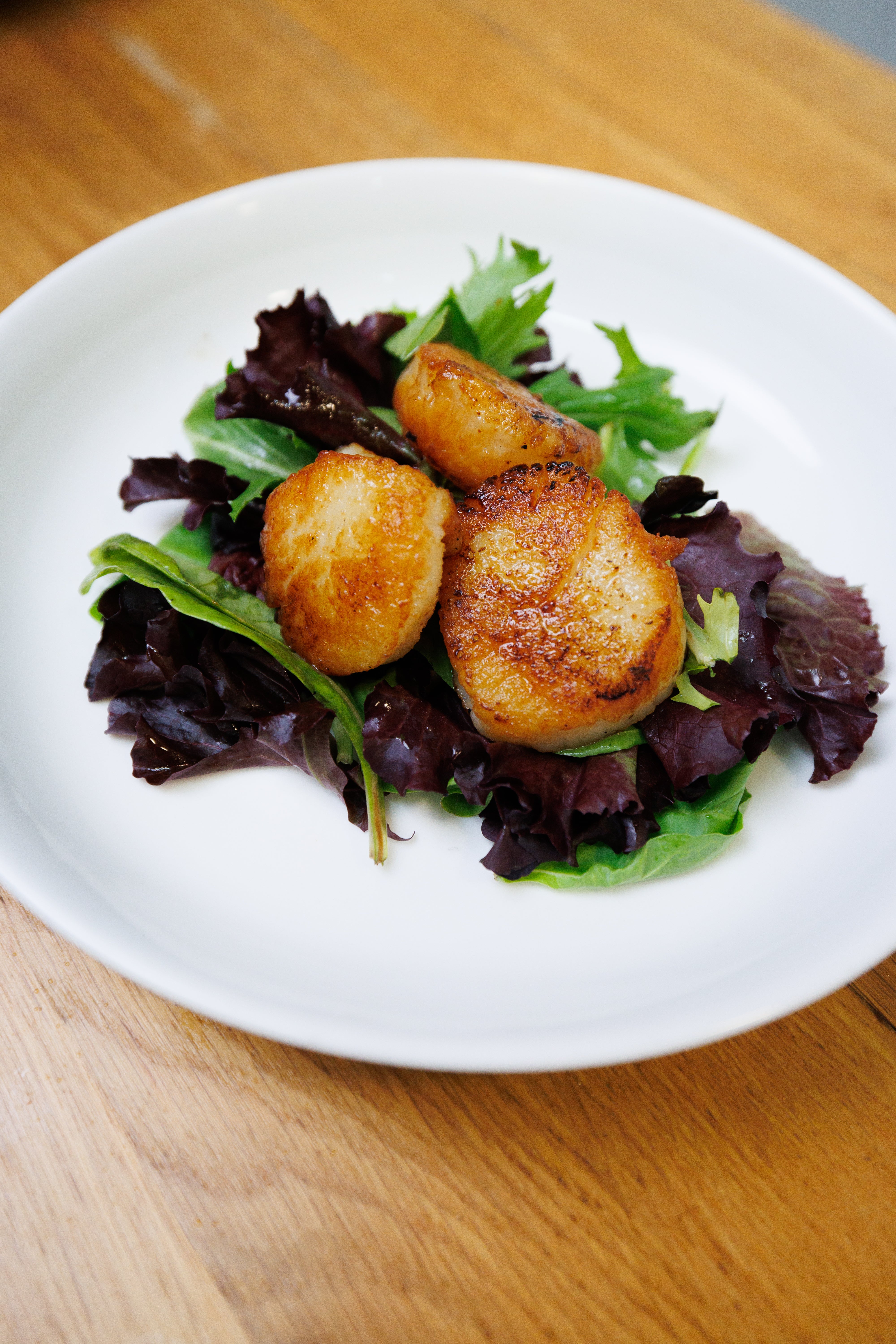 10/20 DRY SCALLOPS