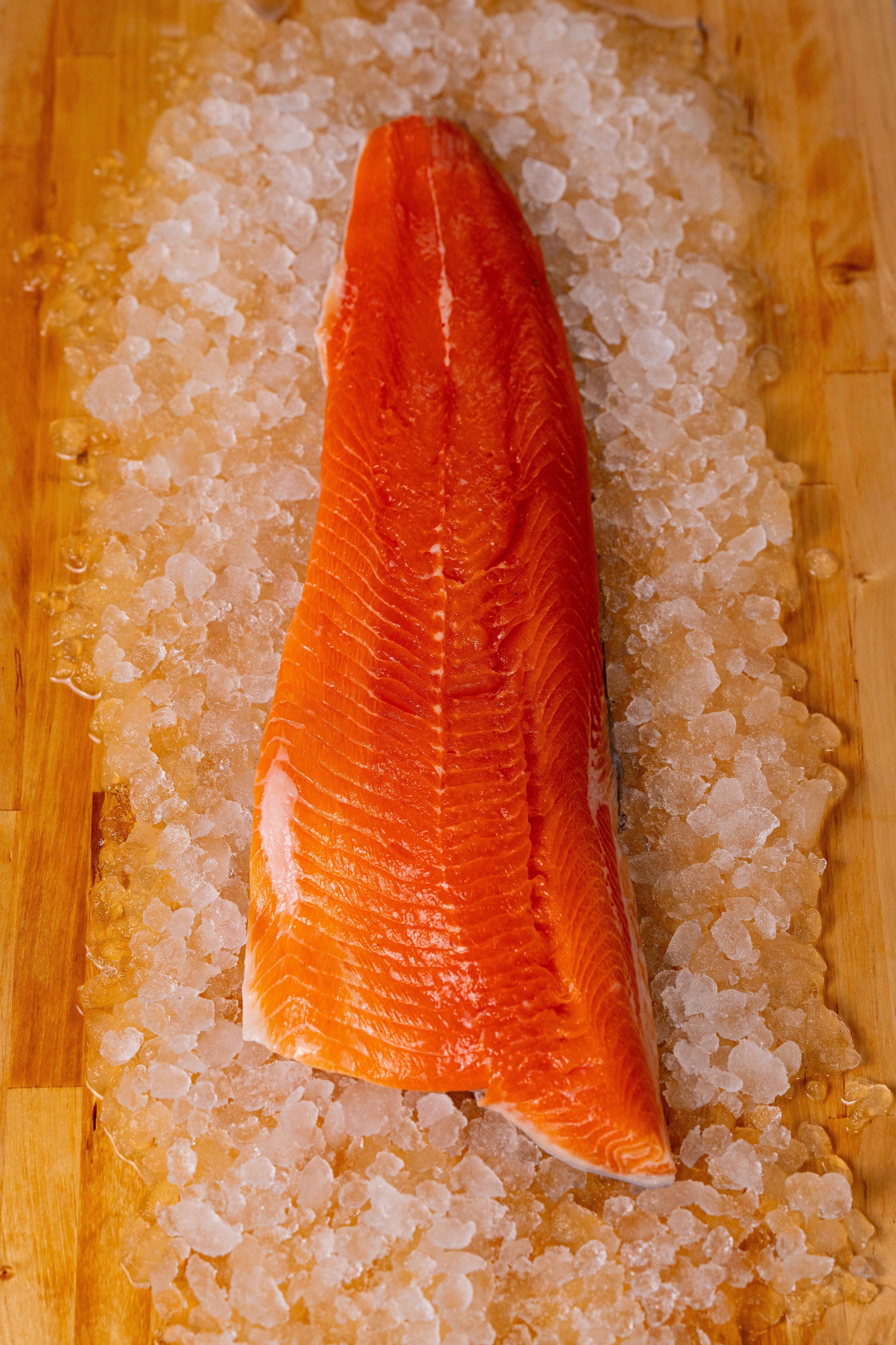 ARCTIC CHAR