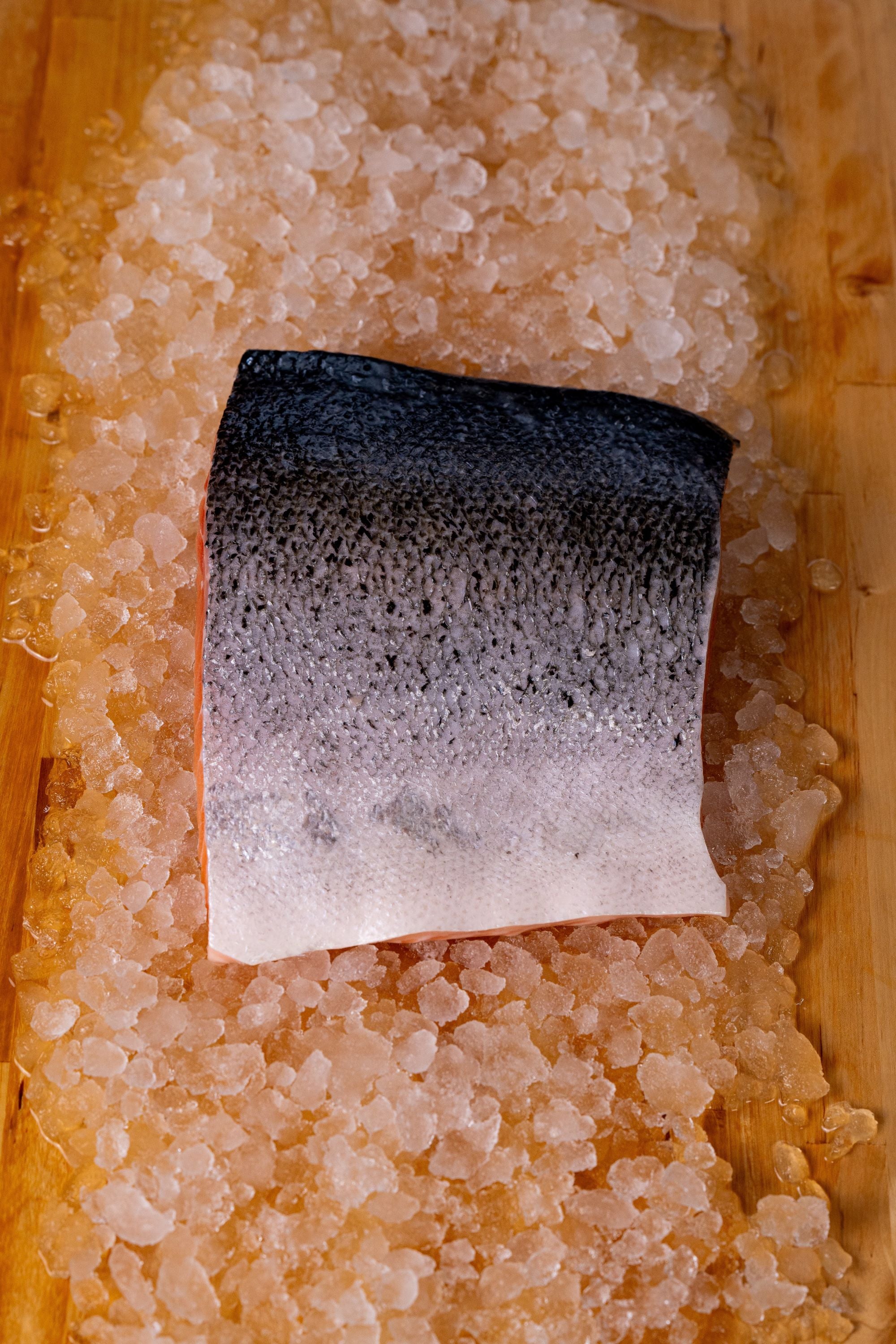 ATLANTIC SALMON