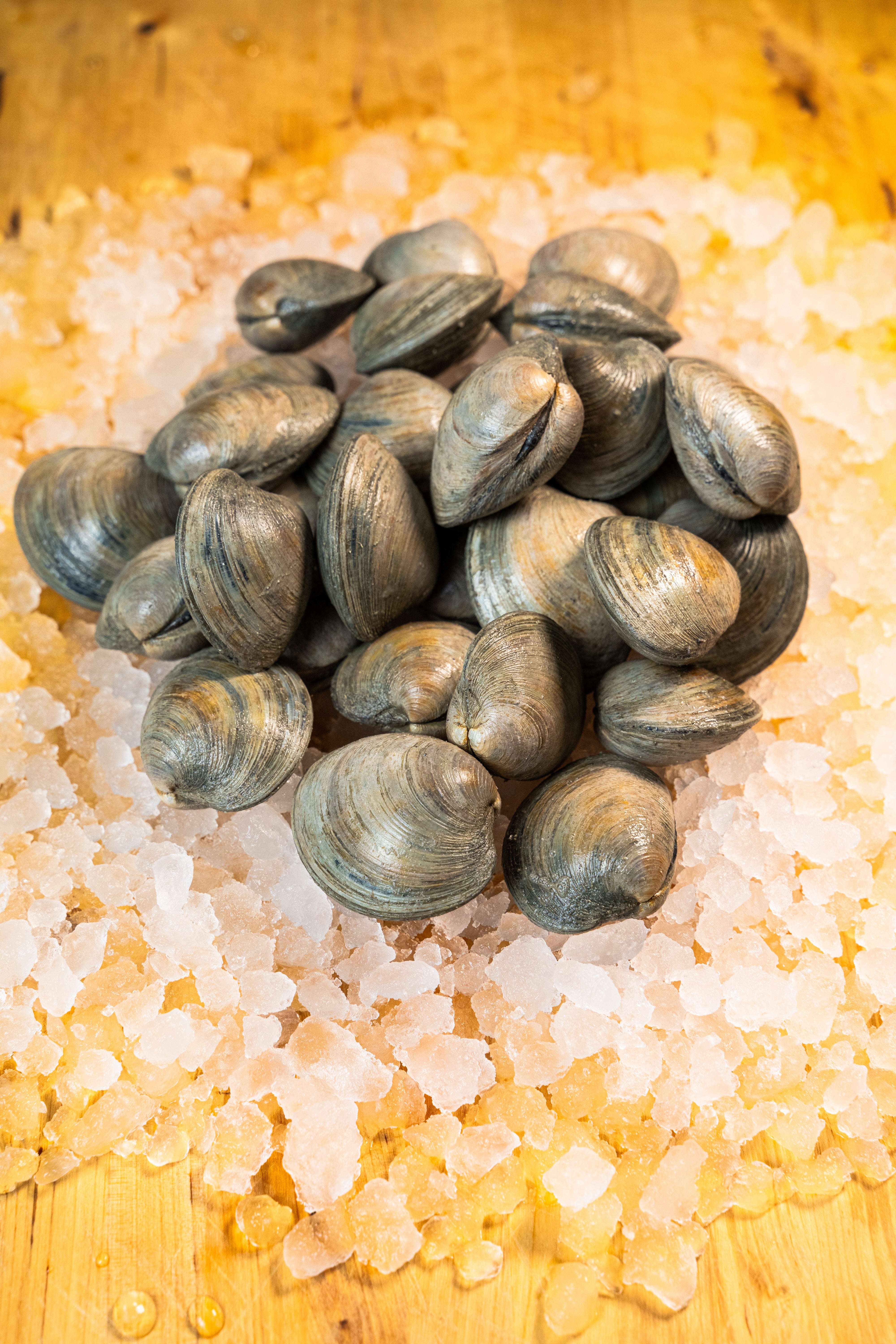 CLAMS - PASTA
