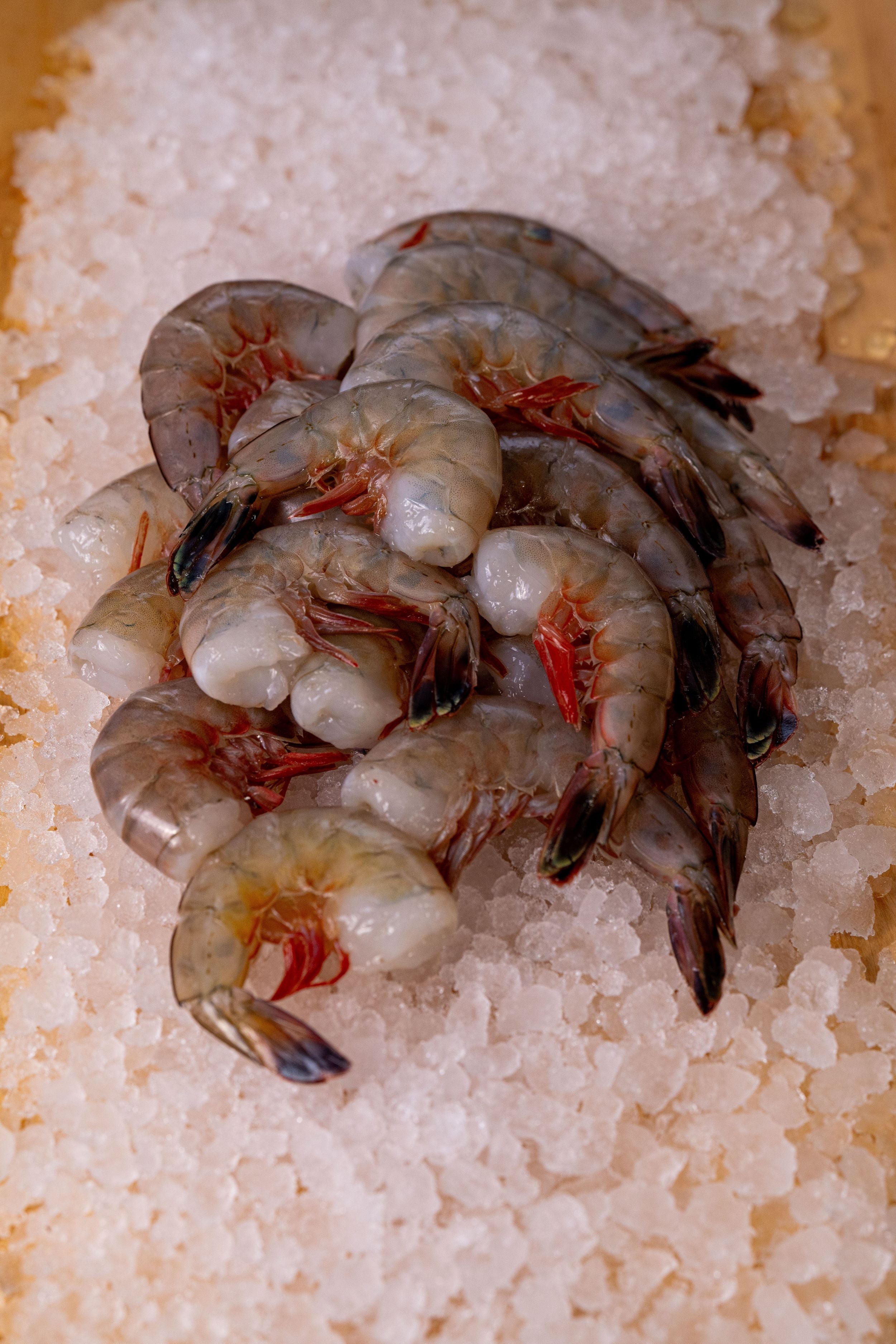 FLORIDA SHRIMP