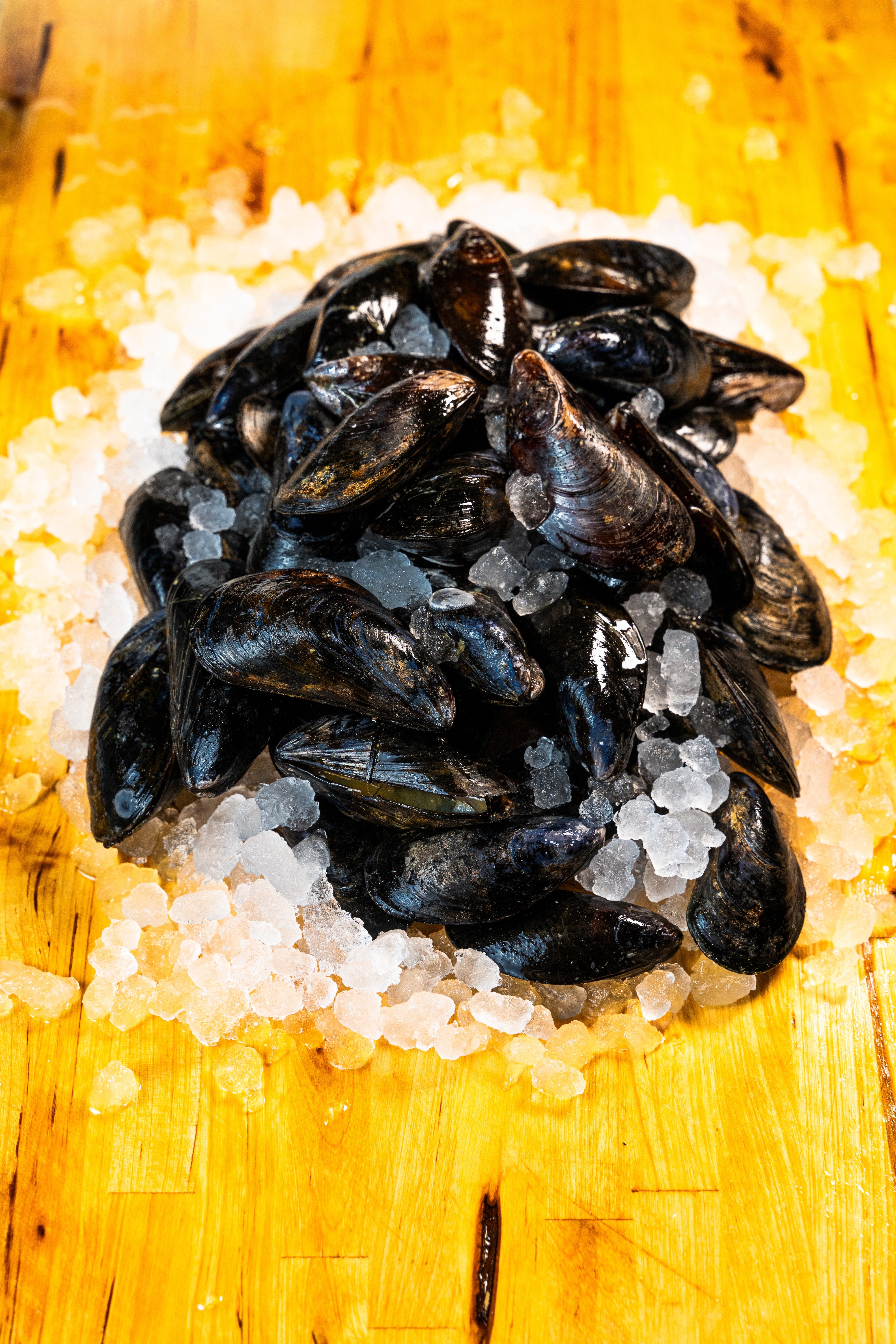 MUSSELS - P.E.I.
