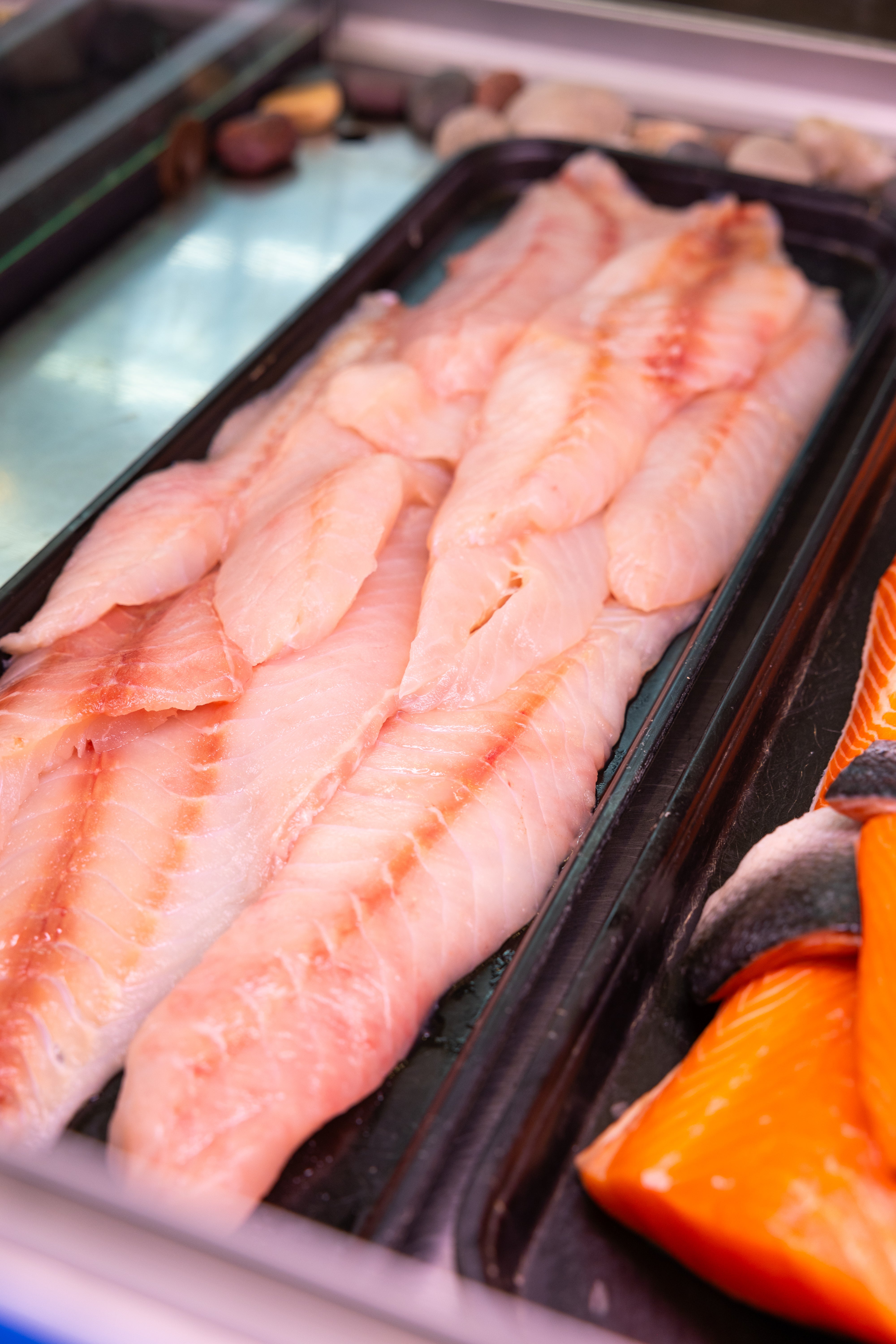 A tray of red snapper fillets