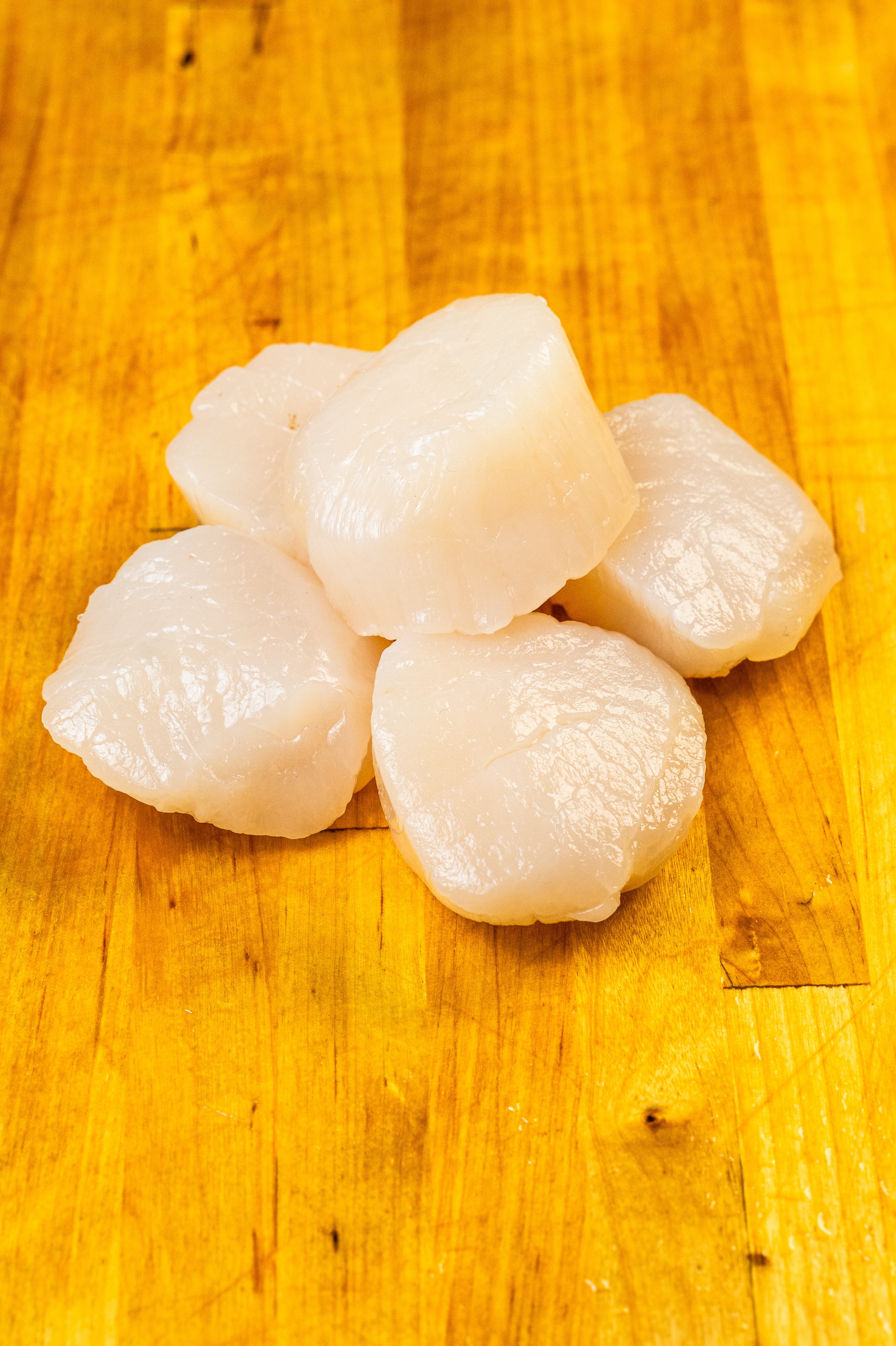 10/20 DRY SCALLOPS