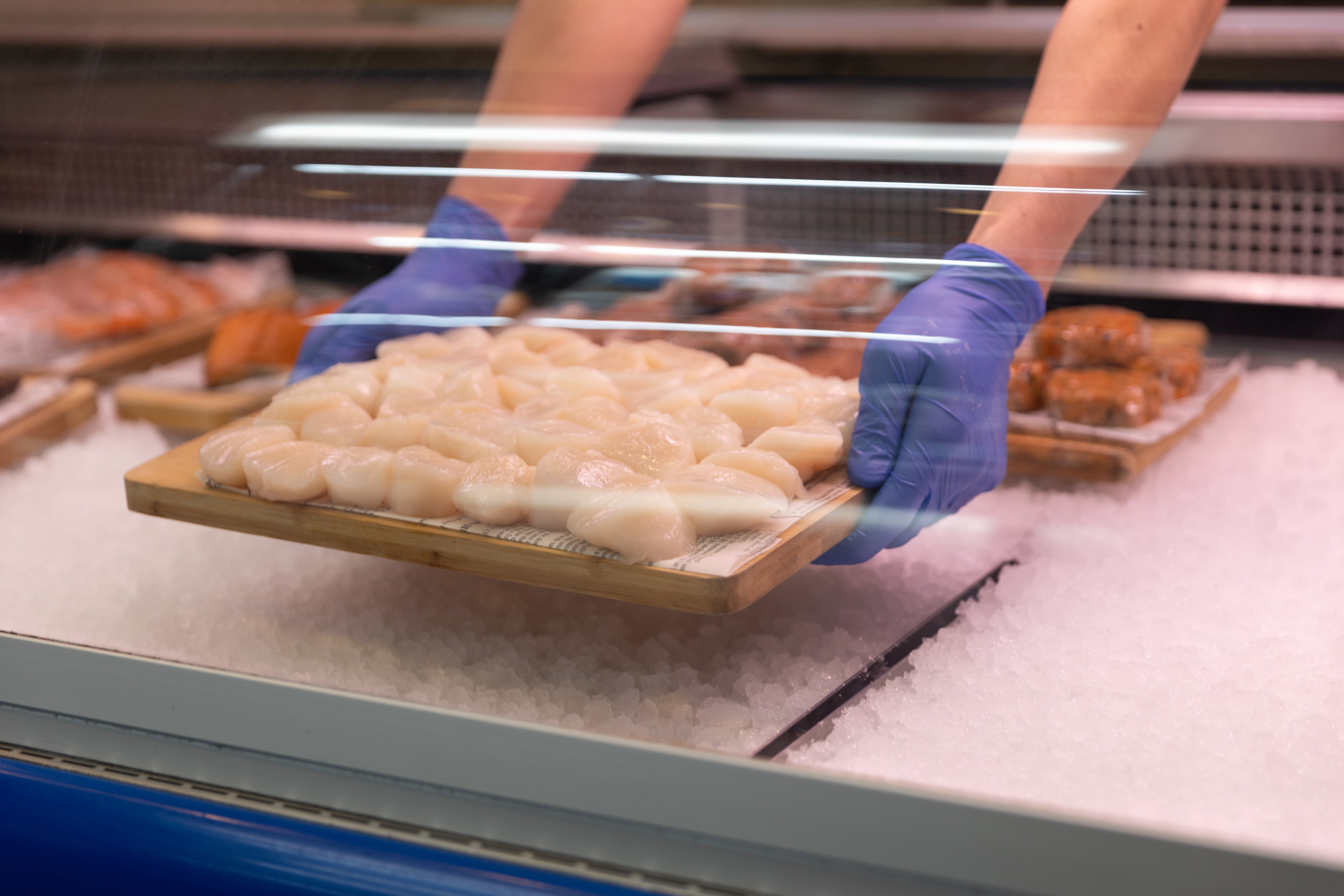 10/20 DRY SCALLOPS