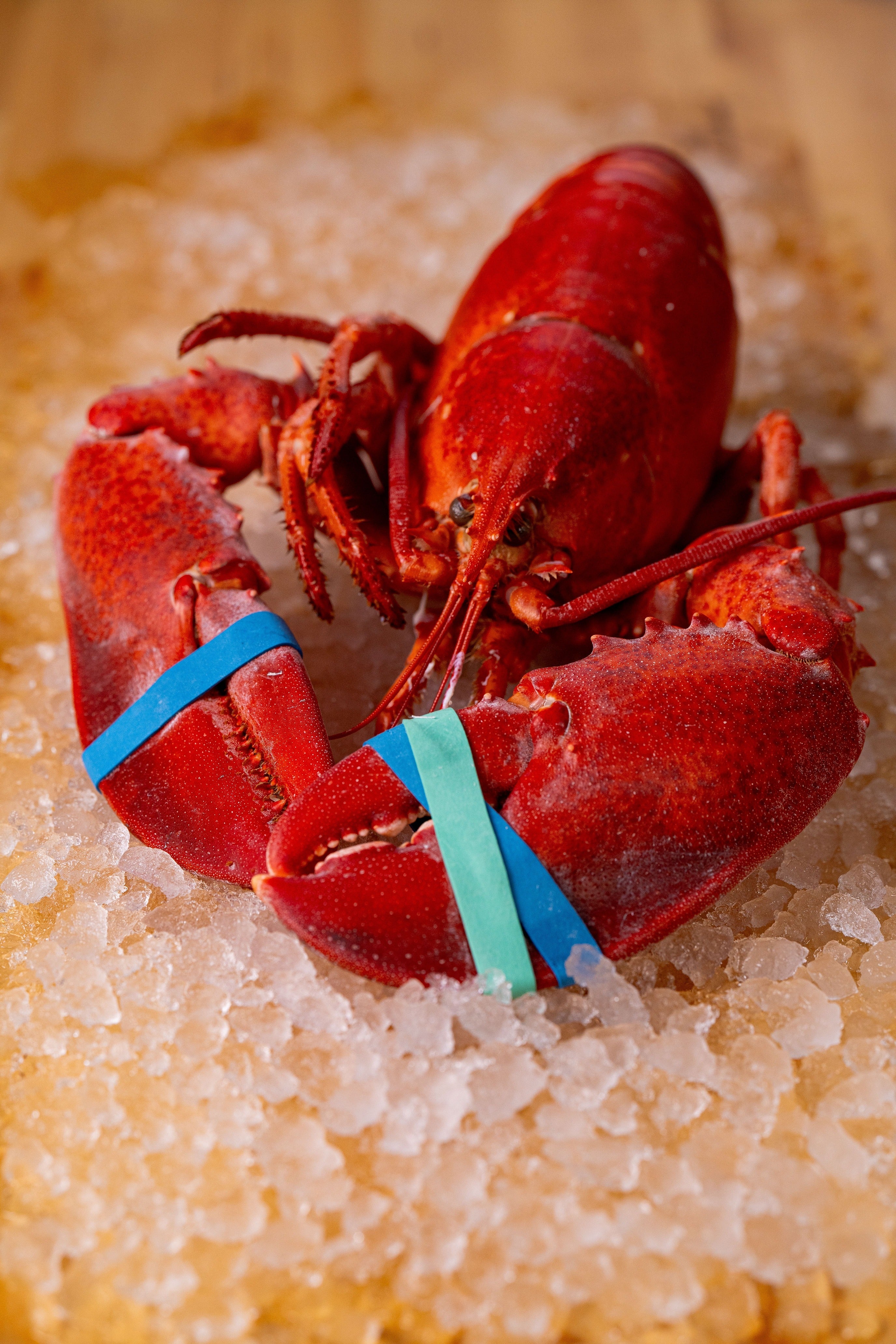 LOBSTER - COOKED (WHOLE)