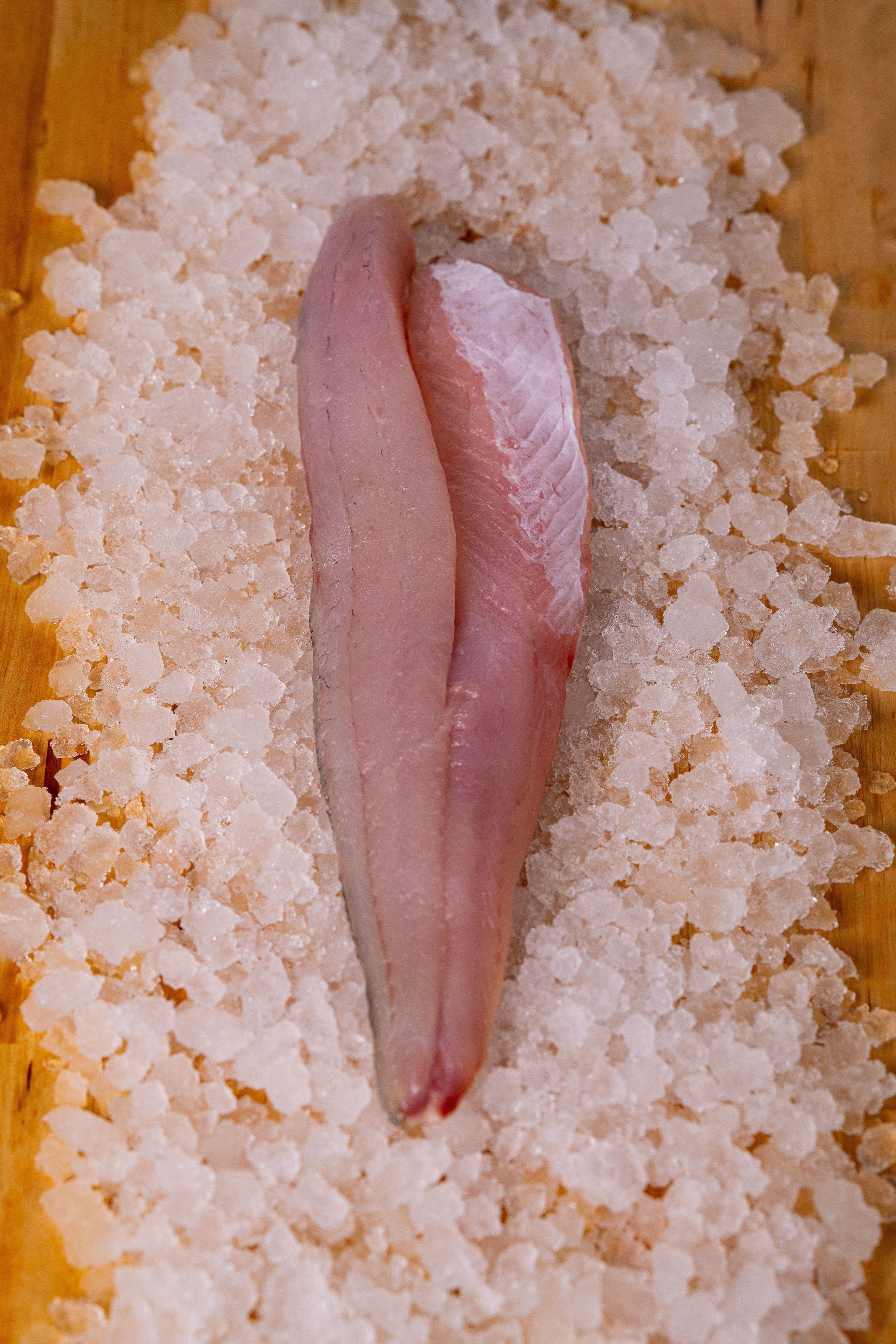 PICKEREL