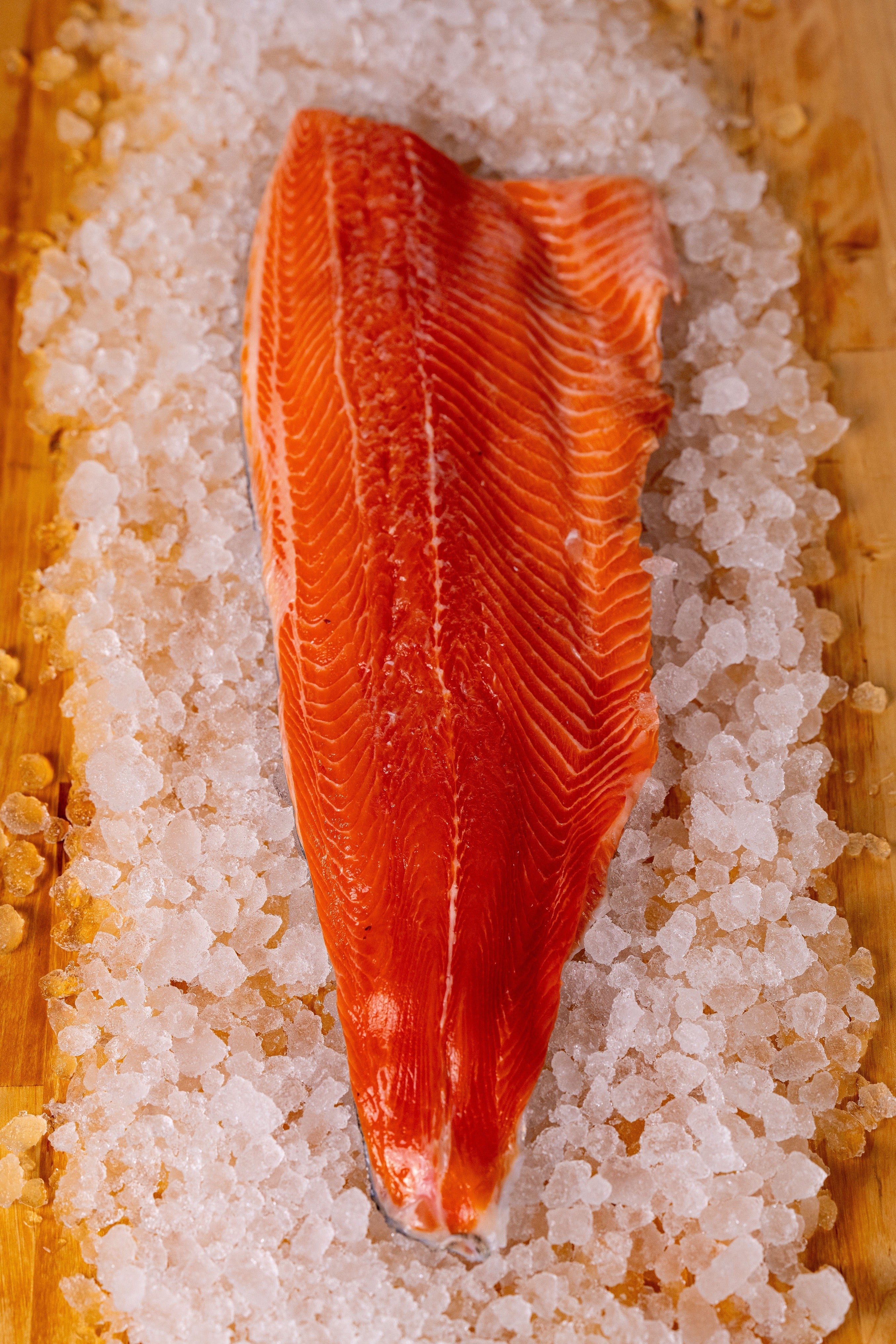 RAINBOW TROUT