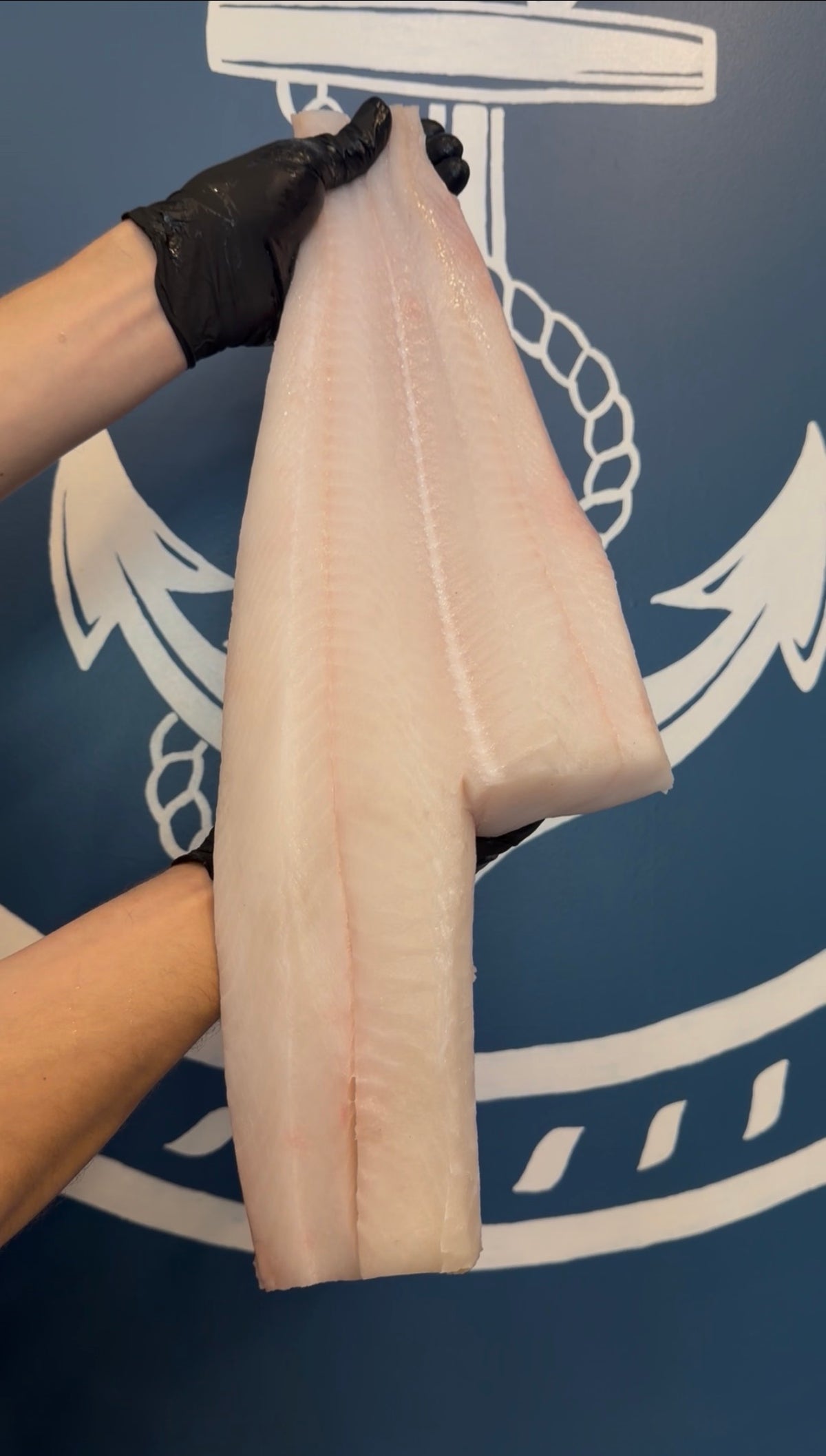 TURBOT