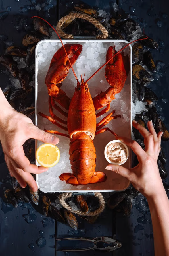 A picture of seafood on ice with two hands holding garnish.