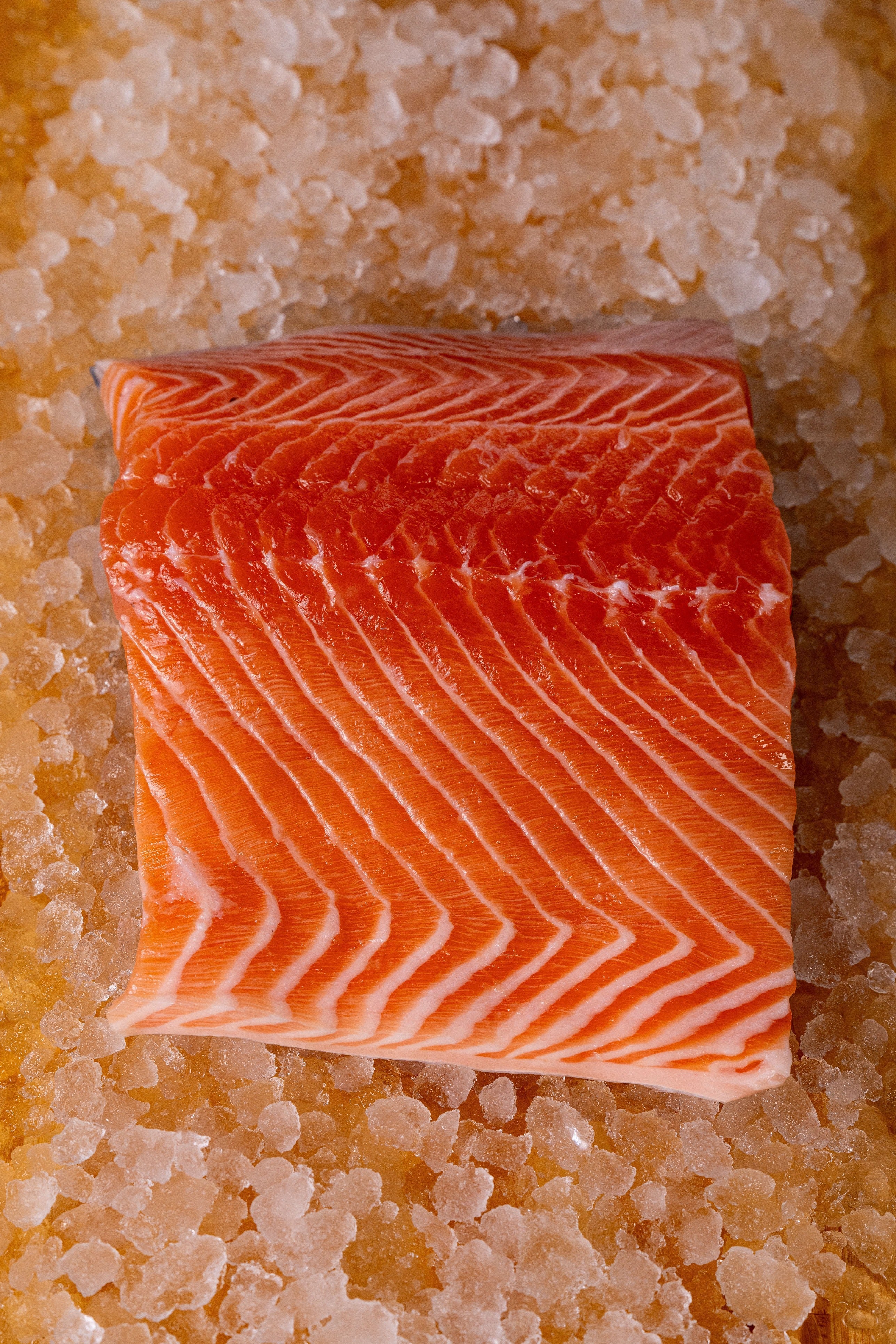 ATLANTIC SALMON